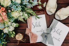 Svatby-s-cihliky-martin-cihlar-marcela-cihlarova-galerie-svatba-svatebni-koordinatorka-dj-hudba-na-svatbu-agentura-praha-koordinace-svatby-svateb-dominika-martin-02