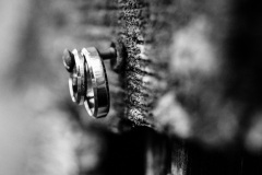 Svatby-s-cihliky-martin-cihlar-marcela-cihlarova-galerie-svatba-svatebni-koordinatorka-dj-hudba-na-svatbu-agentura-praha-koordinace-svatby-svateb-dominika-martin-021