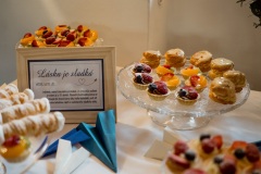 Svatby-s-cihliky-martin-cihlar-marcela-cihlarova-galerie-svatba-svatebni-koordinatorka-dj-hudba-na-svatbu-agentura-praha-koordinace-svatby-svateb-katka-michal-10