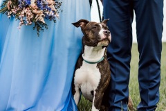 Svatby-s-cihliky-martin-cihlar-marcela-cihlarova-galerie-svatba-svatebni-koordinatorka-dj-hudba-na-svatbu-agentura-praha-koordinace-svatby-svateb-katka-michal-16