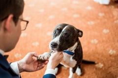 Svatby-s-cihliky-martin-cihlar-marcela-cihlarova-galerie-svatba-svatebni-koordinatorka-dj-hudba-na-svatbu-agentura-praha-koordinace-svatby-svateb-katka-michal-7