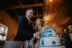 Svatby-s-cihliky-martin-cihlar-marcela-cihlarova-galerie-svatba-svatebni-koordinatorka-dj-hudba-na-svatbu-agentura-praha-koordinace-svatby-svateb-martina-honza-17