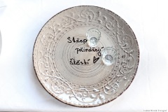 Svatby-s-cihliky-martin-cihlar-marcela-cihlarova-galerie-svatba-svatebni-koordinatorka-dj-hudba-na-svatbu-agentura-praha-koordinace-svatby-svateb-nikola-3