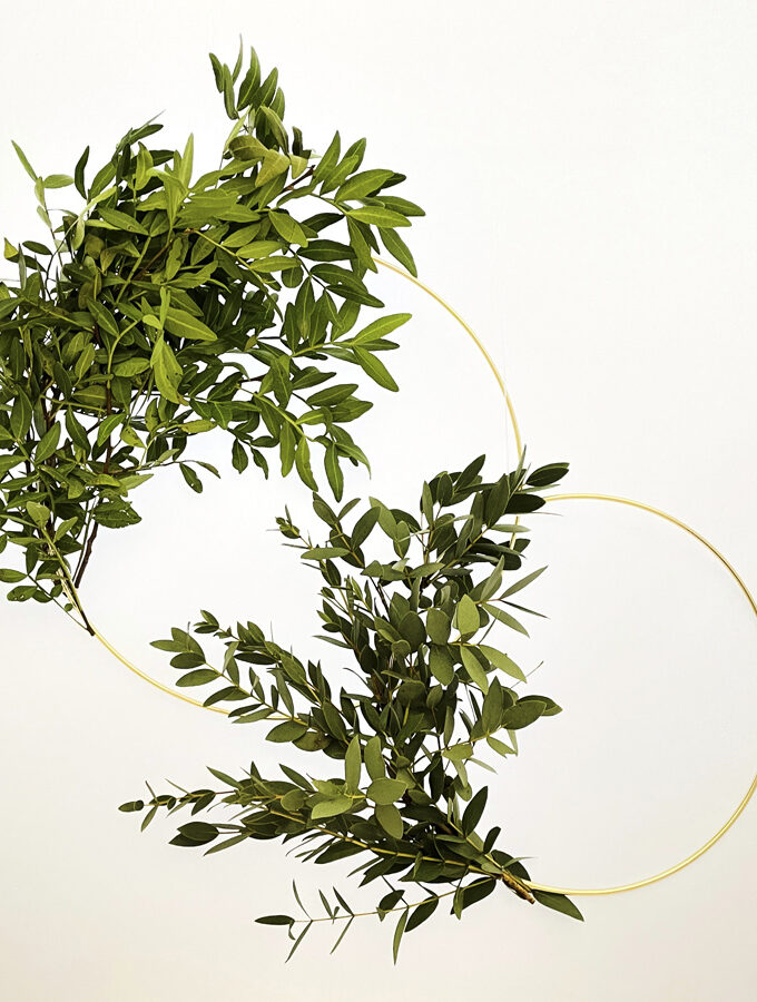 Zlaté kruhy (různé velikosti)